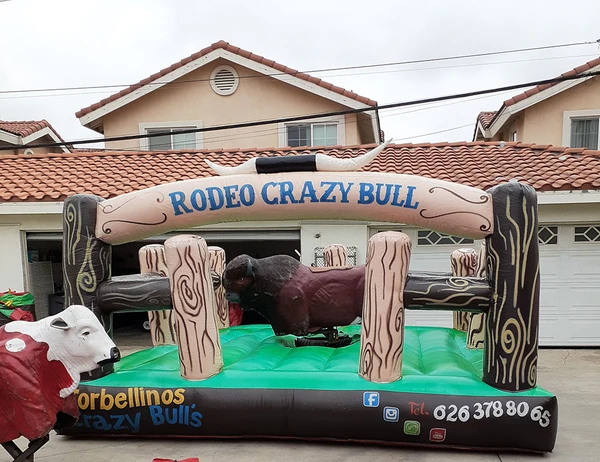 Reliable Party Equipment Rental